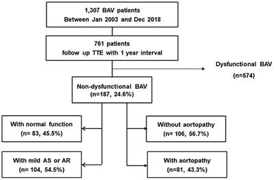 Progression and Outcomes of Non-dysfunctional Bicuspid Aortic Valve: Longitudinal Data From a Large Korean Bicuspid Aortic Valve Registry